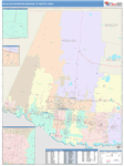 McAllen-Edinburg-Mission Metro Area Wall Map Color Cast Style